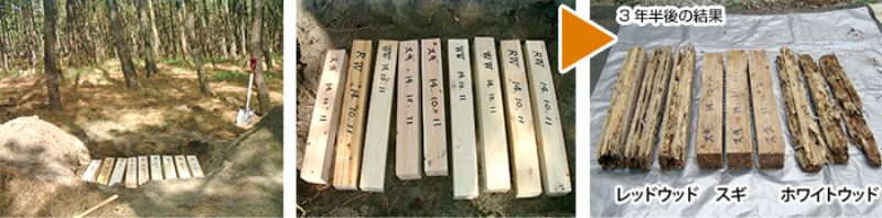 宮崎産のオビスギ（飫肥杉）